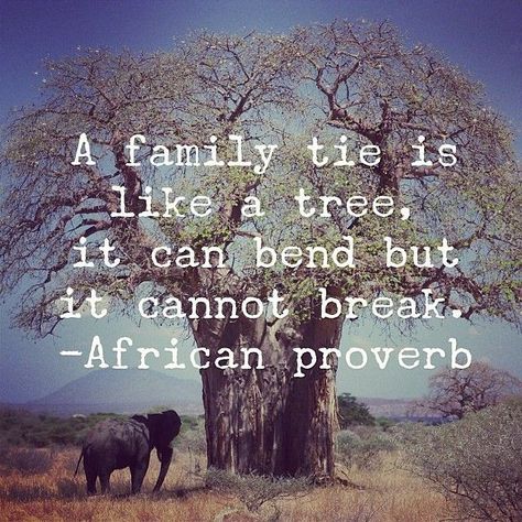 Etsako Proverbs
