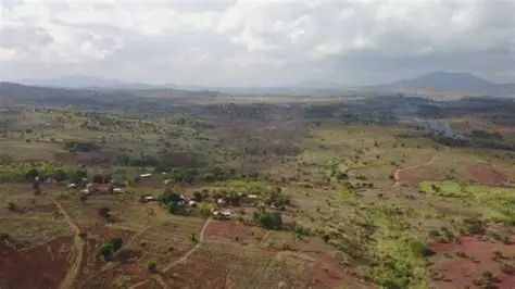 Okpella Farmlands