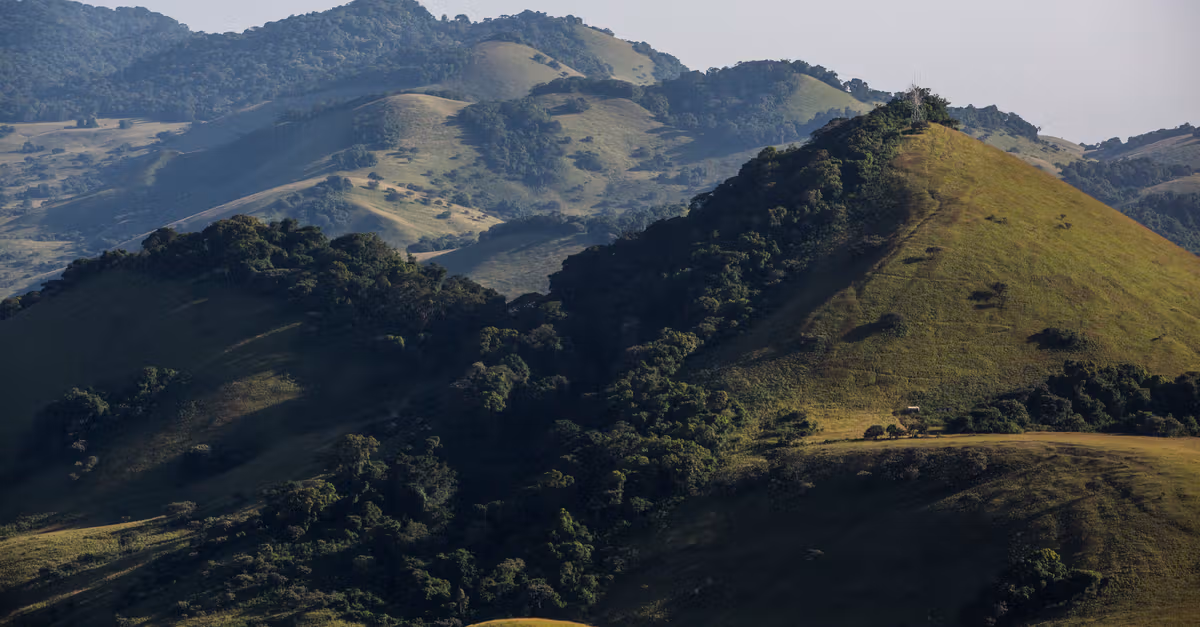 Auchi Topographical Hills